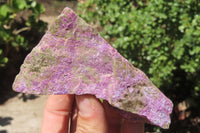 Natural Stichtite Cobbed Specimens x 12 From Barberton, South Africa