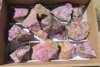 Natural Stichtite Cobbed Specimens x 12 From Barberton, South Africa