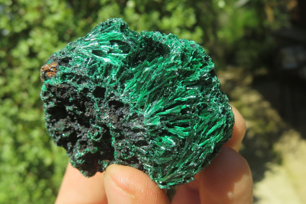 Natural Silky Malachite Specimens x 13 From Kasompe, Congo