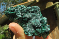 Natural Silky Malachite Specimens x 13 From Kasompe, Congo