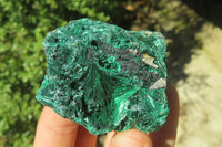 Natural Silky Malachite Specimens x 13 From Kasompe, Congo