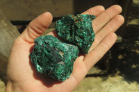 Natural Silky Malachite Specimens x 13 From Kasompe, Congo