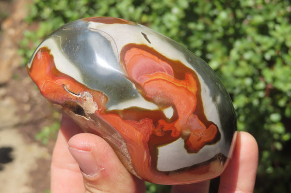 Polished On One Side Polychrome Jasper x 6 From Madagascar