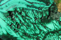 Polished Flower Banded Malachite Slices x 4 From Congo