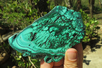 Polished Flower Banded Malachite Slices x 4 From Congo