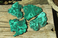 Polished Flower Banded Malachite Slices x 4 From Congo