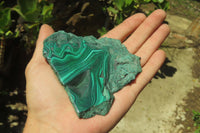 Polished Flower Banded Malachite Slices x 4 From Congo