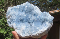 Natural Celestite Geode Specimens x 2 From Sakoany, Madagascar