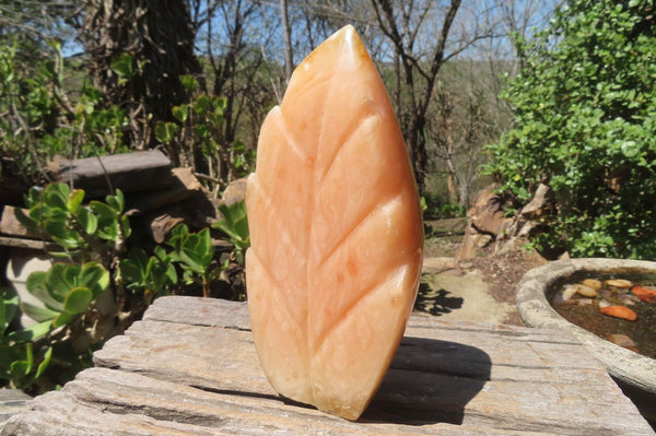 Polished Orange Twist Calcite Leaf Sculpture x 1 From Maevantanana, Madagascar