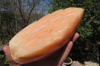 Polished Orange Twist Calcite Leaf Sculpture x 1 From Maevantanana, Madagascar