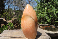 Polished Orange Twist Calcite Leaf Sculpture x 1 From Maevantanana, Madagascar