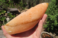 Polished Orange Twist Calcite Leaf Sculpture x 1 From Maevantanana, Madagascar