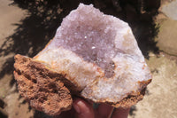 Natural Zululand Amethyst Geodes x 2 from Jozini, South Africa