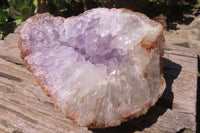 Natural Zululand Amethyst Geodes x 2 from Jozini, South Africa