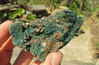 Natural Crystalline Malachite Specimens x 12 From Congo