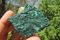 Natural Crystalline Malachite Specimens x 12 From Congo