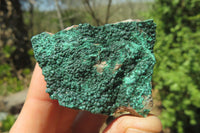 Natural Crystalline Malachite Specimens x 12 From Congo