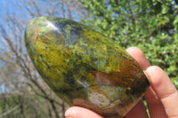 Polished Green Opal Standing Free Forms x 2 From Antsirabe, Madagascar