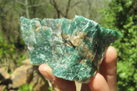 Natural Jade Cobbed Specimens x 12 From Swaziland