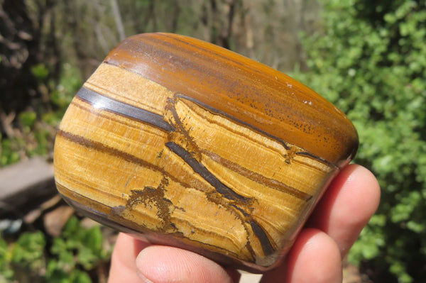 Polished Tiger's Eye Free Forms x 6 From Prieska, South Africa