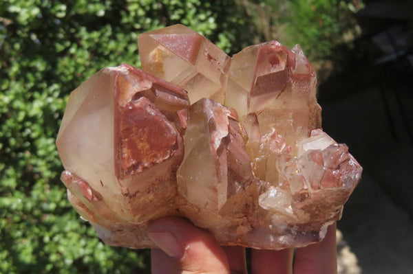 Natural Red Hematoid Quartz Clusters x 2 From Karoi, Zimbabwe