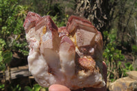 Natural Red Hematoid Quartz Clusters x 2 From Karoi, Zimbabwe