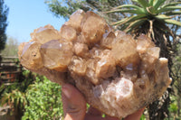 Natural Smokey Phantom Quartz Cluster x 1 From Luena, Congo