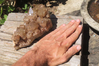 Natural Smokey Phantom Quartz Cluster x 1 From Luena, Congo