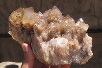 Natural Smokey Phantom Quartz Cluster x 1 From Luena, Congo