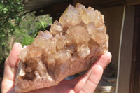 Natural Smokey Phantom Quartz Cluster x 1 From Luena, Congo