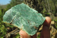 Natural Jade Cobbed Specimens x 24 from Swaziland