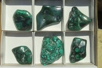 Polished Flower Banded Malachite Free Forms x 6 From Congo