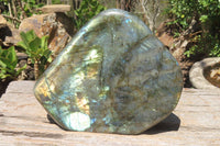 Polished Labradorite Standing Free Form x 1 From Madagascar