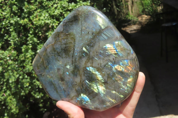 Polished Labradorite Standing Free Form x 1 From Madagascar