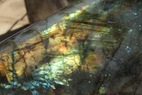 Polished Labradorite Standing Free Form x 1 From Madagascar