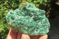 Natural Kyanite In Fuchsite Matrix Specimens x 12 From Zimbabwe