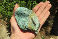 Natural Kyanite In Fuchsite Matrix Specimens x 12 From Zimbabwe