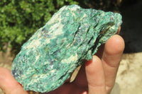 Natural Kyanite In Fuchsite Matrix Specimens x 12 From Zimbabwe