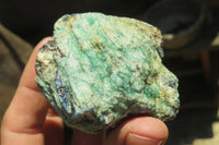 Natural Kyanite In Fuchsite Matrix Specimens x 12 From Zimbabwe