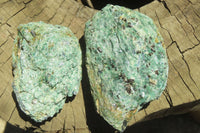 Natural Kyanite In Fuchsite Matrix Specimens x 12 From Zimbabwe