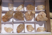 Natural Citrine Quartz Crystals x 12 From Luena, Congo