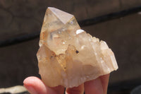 Natural Citrine Quartz Crystals x 12 From Luena, Congo