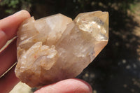 Natural Citrine Quartz Crystals x 12 From Luena, Congo