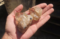 Natural Citrine Quartz Crystals x 12 From Luena, Congo