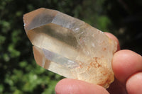 Natural Citrine Quartz Crystals x 12 From Luena, Congo