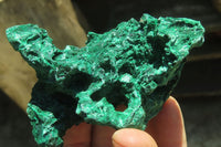 Natural Silky Malachite Specimens x 6 From Kasompe, Congo