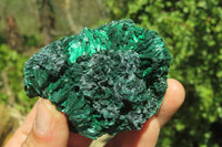 Natural Silky Malachite Specimens x 6 From Kasompe, Congo