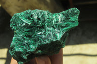 Natural Silky Malachite Specimens x 6 From Kasompe, Congo