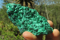 Natural Silky Malachite Specimens x 6 From Kasompe, Congo