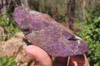 Natural Metallic Purpurite Cobbed Specimens x 6 From Erongo, Namibia